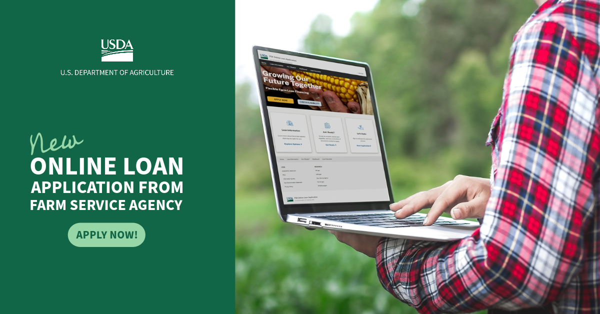 FSA Online Loan App